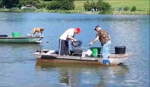 Metzing : l’étang communal envahi par les poissons chats