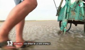 Voyage sur les côtes françaises : à la découverte de la Côte d'Opale