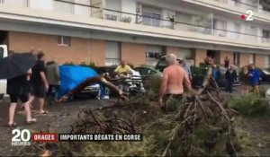 Trombe marine, tornade, arbres déracinés : une violente tempête balaye la baie de Bastia