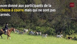 Rennes : cinq chasseurs à courre comparaissent pour violences aggravées