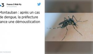 Tarn-et-Garonne : Un cas de dengue diagnostiqué à Montauban, une opération de démoustication lancée