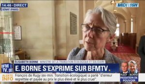Elisabeth Borne: "On ne peut pas remplacer chaque ligne aérienne par un TGV" sans que ça ne se fasse "au détriment des trains du quotidien"