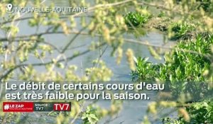 Le Zap Nouvelle-Aquitaine du 17 juillet