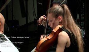 Pascal Zavaro : Quatuor à cordes "Le Pays éloigné" (Quatuor Daphnis)
