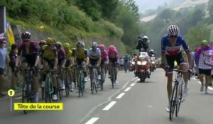 Tour de France 2019 - La banderille de Warren Barguil