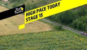 Rythme élevé pour le peloton / High pace today - Étape 15 / Stage 15 - Tour de France 2019