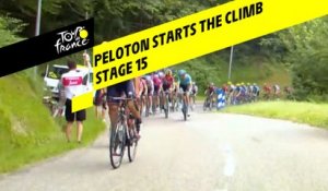 Le peloton a attaqué les premières pentes / The peloton has started the climb - Étape 15 / Stage 15 - Tour de France 2019