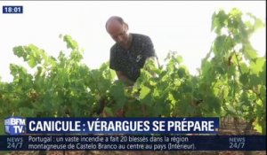 Comment se préparent les habitants de Verargues à ce nouvel épisode caniculaire et où il avait fait 46°C en juin ?
