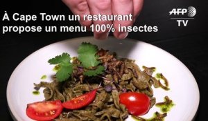 Afrique du Sud: un restaurant du Cap propose un menu 100% insectes