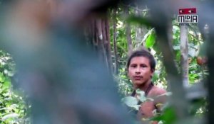 "Leur perte est une menace pour l'humanité" : pourquoi les images de la tribu des Awa au Brésil sont "incroyables"
