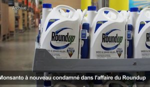 Monsanto reconnu coupable dans le procès Roundup