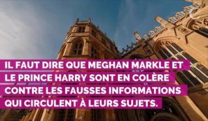 Meghan Markle et le prince Harry : pourquoi ils ont provoqué l...