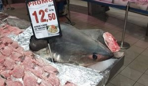 Le requin-renard, une espèce protégée, mise en « promo » dans un supermarché !