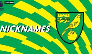 Nicknames - Les "Canaries" de Norwich City