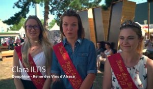 Reine des vins d'Alsace : le trio royal donne sa vision de la Foire