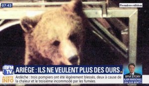 Une centaine de maires de l'Ariège réclament la disparition de l'ours dans les Pyrénées