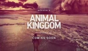 Animal Kingdom - Promo 4x12