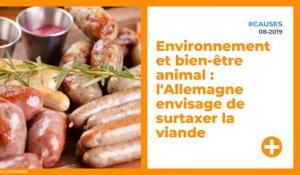 Environnement et bien-être animal : l'Allemagne envisage de surtaxer la viande