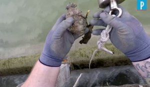 Les dangers de la pêche à l'aimant