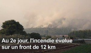 "Catastrophe écologique" sur l'île grecque d'Eubée ravagée par les flammes