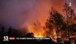 En Grèce, "catastrophe écologique" en cours sur l'île d'Eubée, ravagée par les flammes