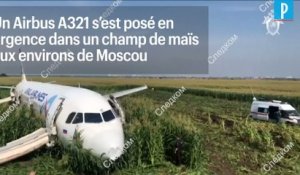 Russie : un avion de ligne atterrit dans un champs de maïs
