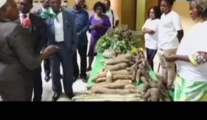 RTG/Découverte de plusieurs variétés de produits gabonais au festival agro-sylvo-pastoral et halieutique de Ntoum