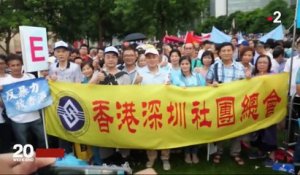 Hong Kong : la manifestation de soutien au gouvernement, symbole d'une ville qui se divise