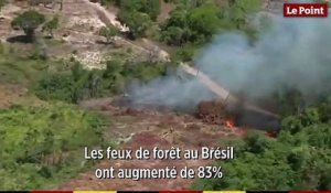 Incendies dans la forêt amazonienne : une ampleur inédite