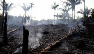 Les incendies de forêts au Brésil en hausse de 83% depuis début 2019