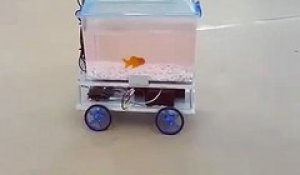 Un réservoir de poissons robotique contrôlé par un poisson