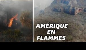 L'Amazonie brûle? La Bolivie aussi