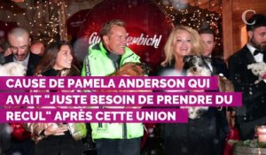 Pamela Anderson : pourquoi elle a décidé de quitter Jon Peters après 12 jours de mariage