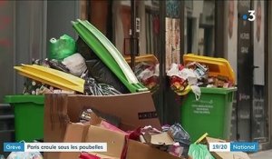 Grèves : Paris polluée par les poubelles