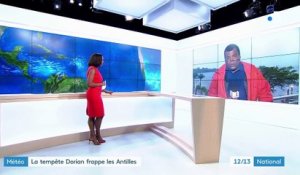 Martinique : l'île se prépare à l'arrivée de la tempête Dorian