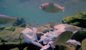 Sans frontières - Méditerranée : la mer poubelle