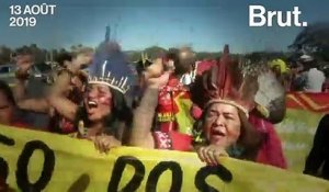 "Notre territoire, c'est notre vie" : le combat de femmes autochtones pour protéger leur habitat