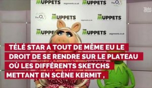 Instant Vintage : quand Télé Star rencontrait le créateur du Muppet show Jim Henson sur son plateau de tournage en 1978