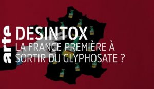France/Monde : sortie du glyphosate - 29/08/2019 - Désintox