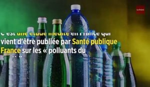 Bisphénols, phtalates..., ces six polluants présents dans votre organisme