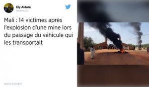 Mali. Au moins 14 passagers d’un car tués dans l’explosion d’une mine