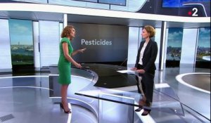 Pesticides : quelle est la réglementation pour protéger les riverains ?