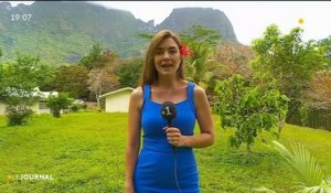 Un nouveau lycée pour Moorea