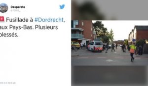 Pays-Bas : Trois morts et une personne grièvement blessée dans une fusillade à Dordrecht