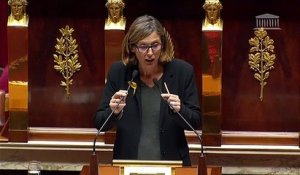 HERAULT - LGV Montpellier-Perpignan : allocution de Mme Ménard à l'occasion de la nouvelle lecture du projet de loi d'orientation des mobilités