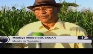 ORTM/Visite du Ministre de l’agriculture,  Moulaye BOUBACAR à Kita dans le cadre de la mission de supervision de la campagne agricole 2019 - 2010