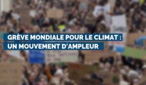 Grève mondiale pour le climat : un mouvement d'ampleur