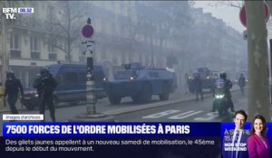 Mouvement des gilets jaunes : comment les forces de l'ordre se préparent à la manifestation parisienne?