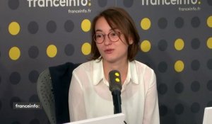 Loi bioéthique : Anne-Lise, née d'une PMA en Belgique, "conteste un apport spécifique du père que ne pourrait pas apporter une mère"