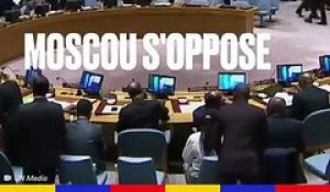 Le discours de la France à l'ONU sur la Syrie